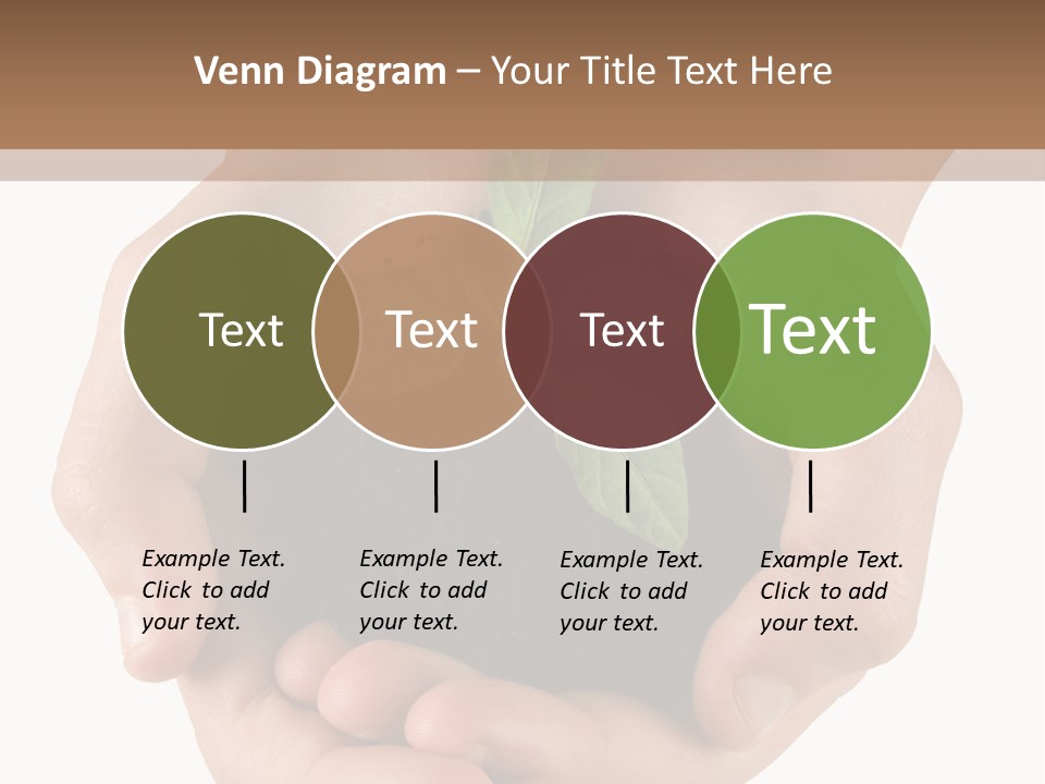 Children's Hands Hold A Young Plant PowerPoint Template