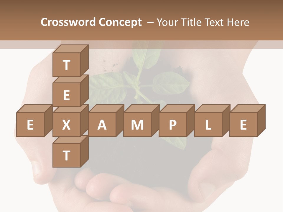 Children's Hands Hold A Young Plant PowerPoint Template