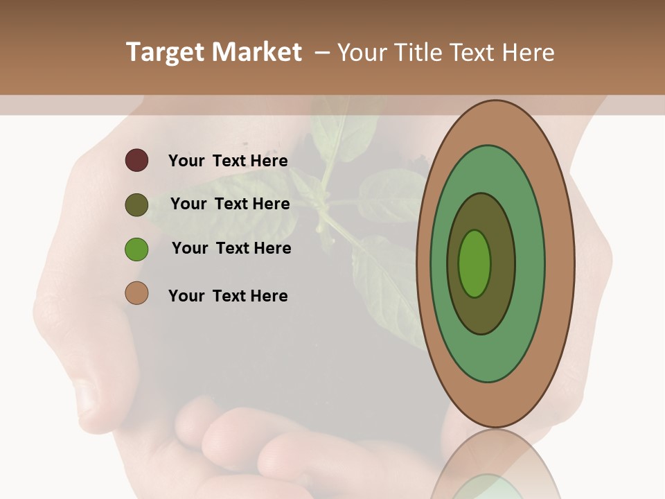 Children's Hands Hold A Young Plant PowerPoint Template