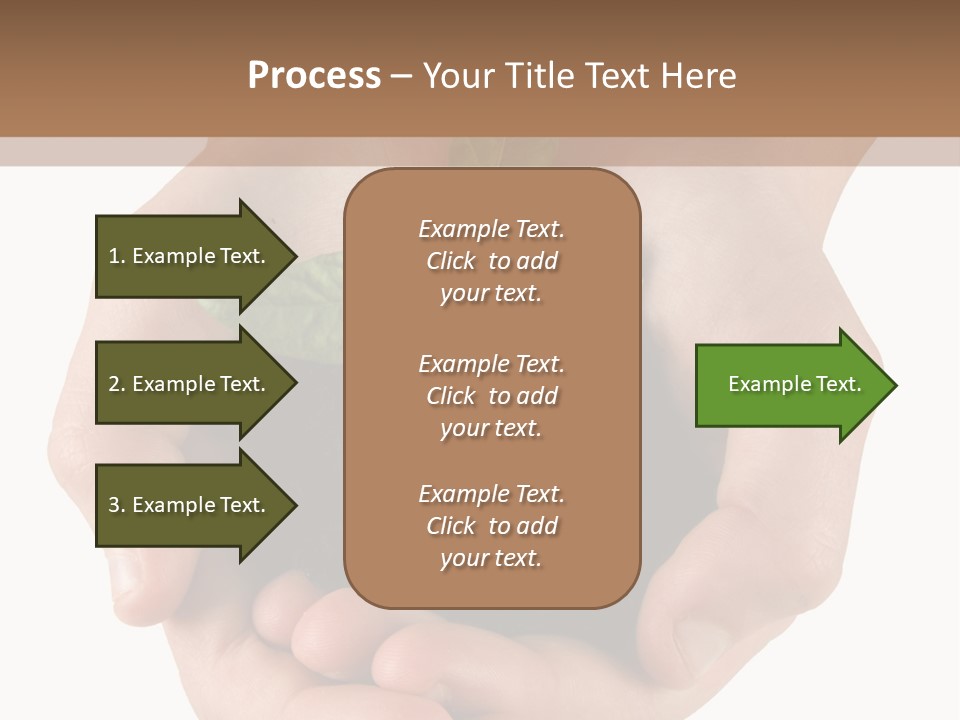 Children's Hands Hold A Young Plant PowerPoint Template