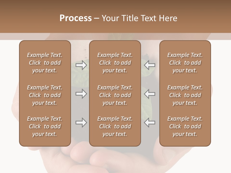 Children's Hands Hold A Young Plant PowerPoint Template