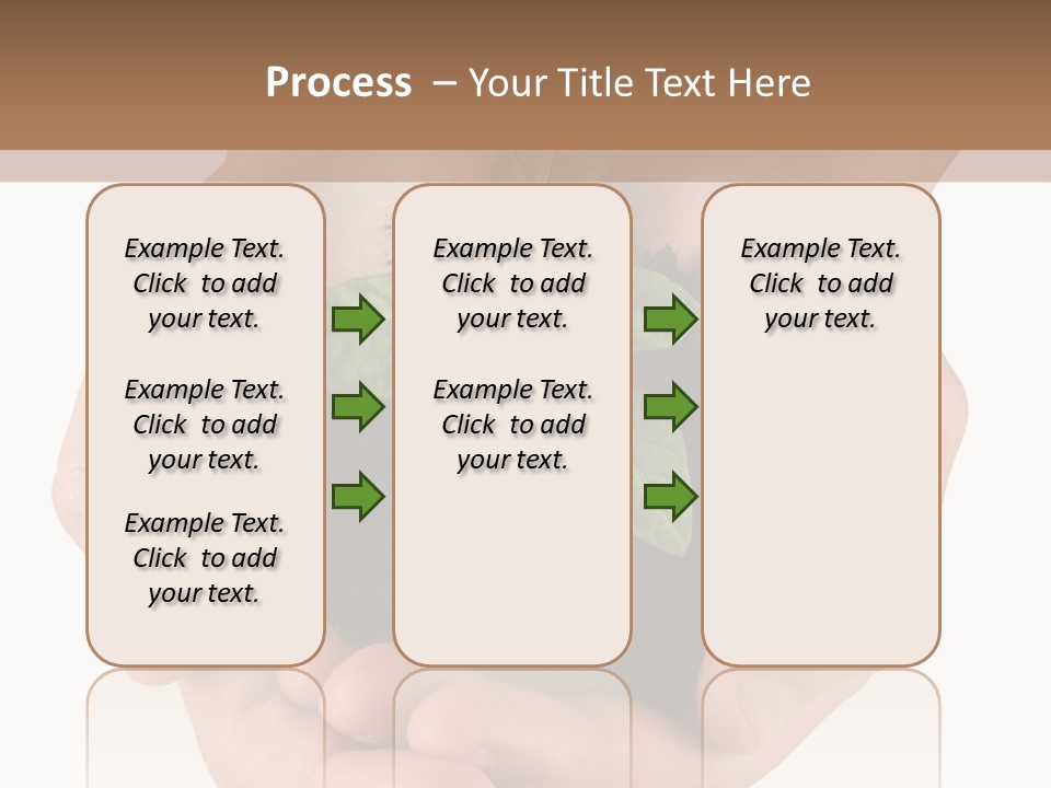 Children's Hands Hold A Young Plant PowerPoint Template