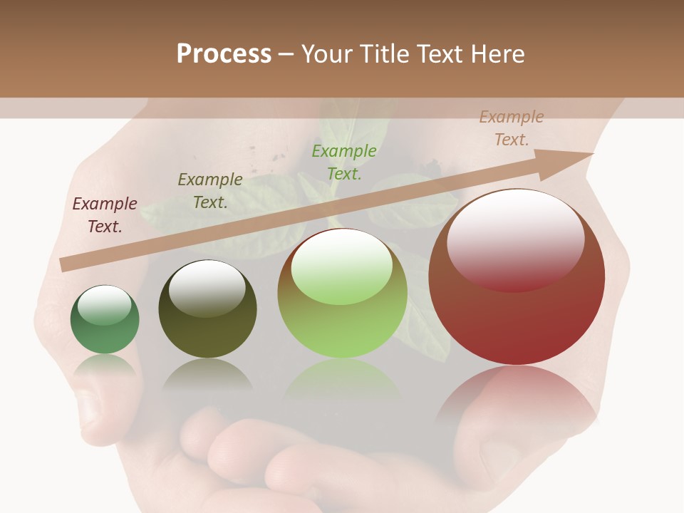 Children's Hands Hold A Young Plant PowerPoint Template
