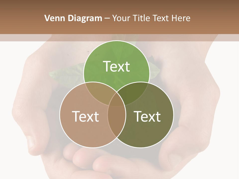Children's Hands Hold A Young Plant PowerPoint Template