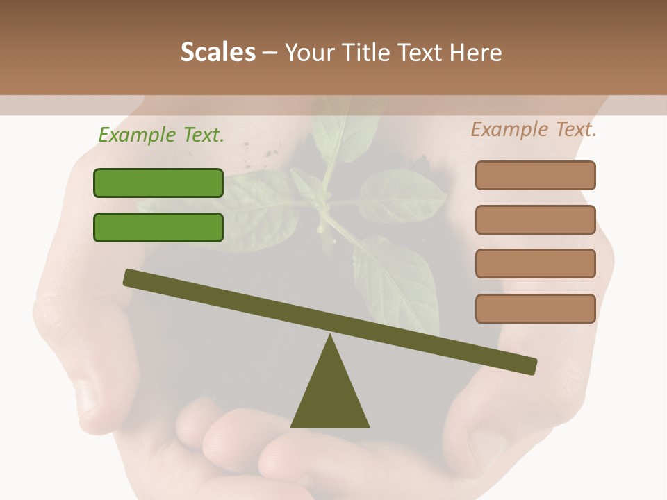 Children's Hands Hold A Young Plant PowerPoint Template