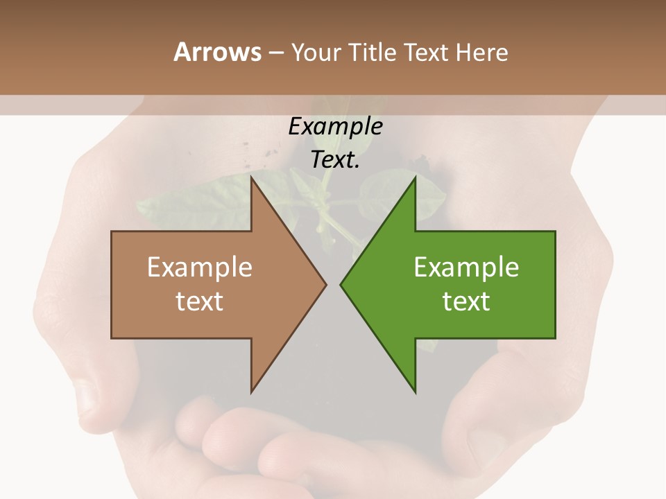 Children's Hands Hold A Young Plant PowerPoint Template