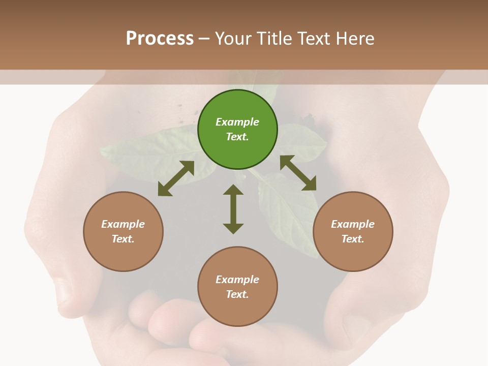 Children's Hands Hold A Young Plant PowerPoint Template