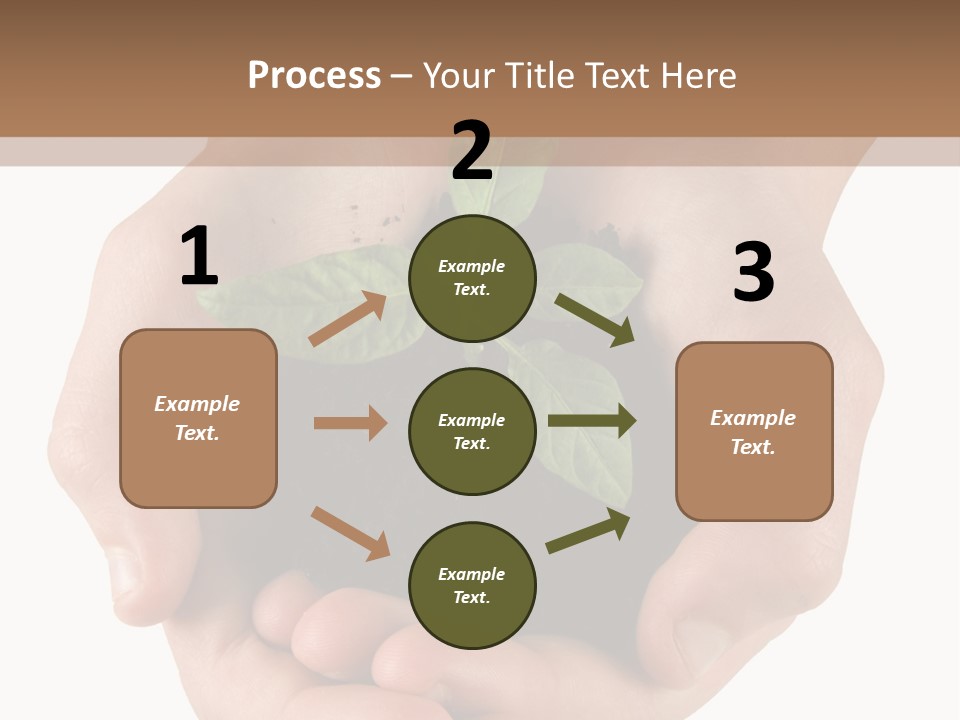 Children's Hands Hold A Young Plant PowerPoint Template