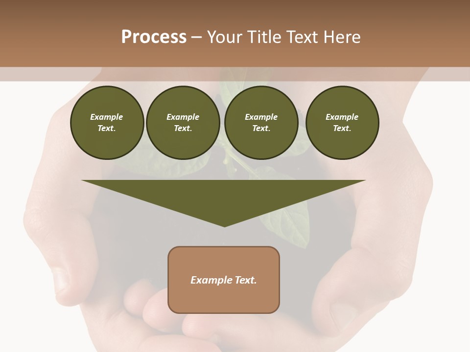 Children's Hands Hold A Young Plant PowerPoint Template