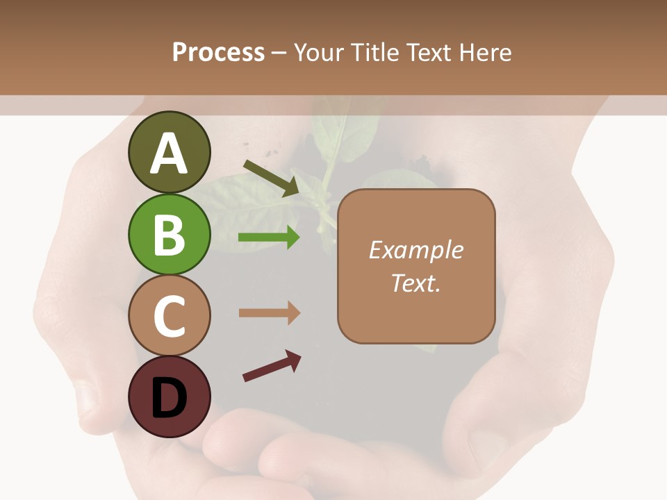 Children's Hands Hold A Young Plant PowerPoint Template