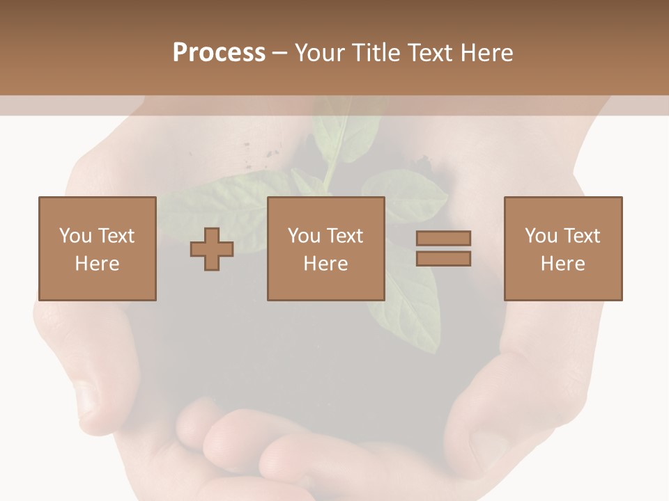 Children's Hands Hold A Young Plant PowerPoint Template
