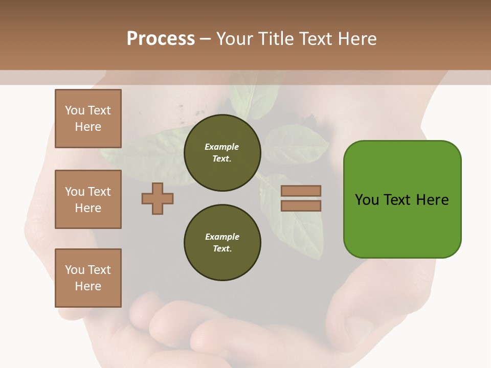 Children's Hands Hold A Young Plant PowerPoint Template