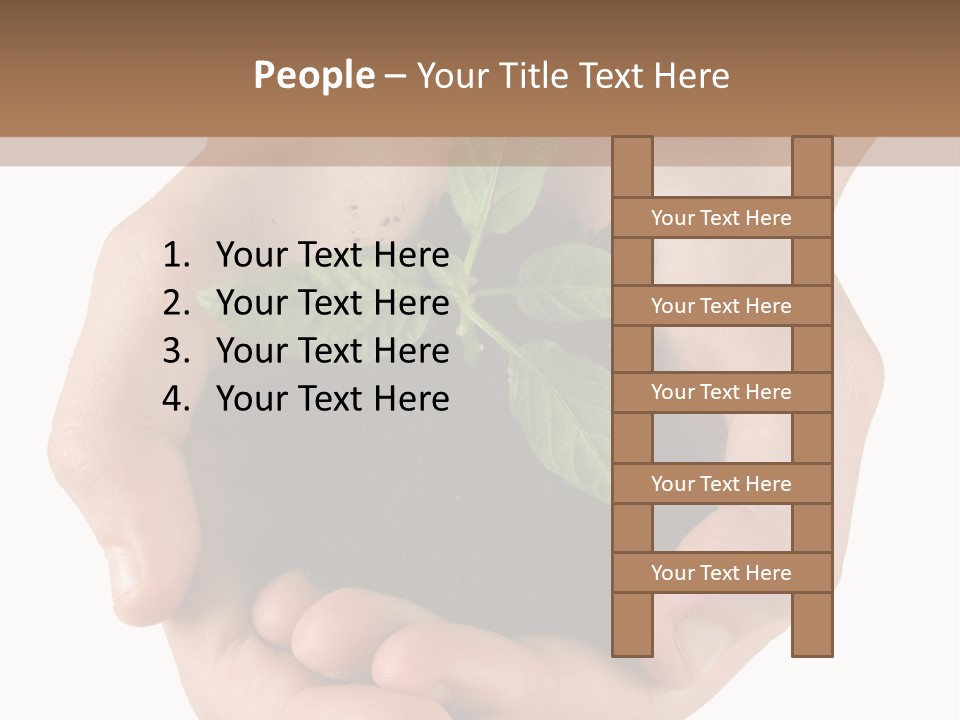 Children's Hands Hold A Young Plant PowerPoint Template