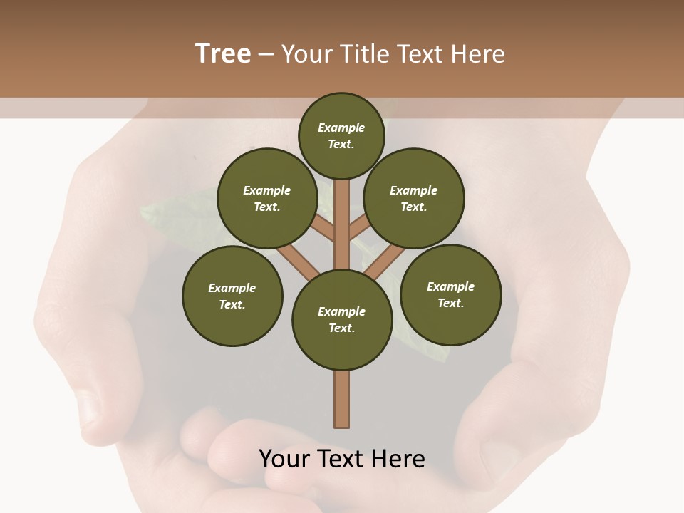 Children's Hands Hold A Young Plant PowerPoint Template