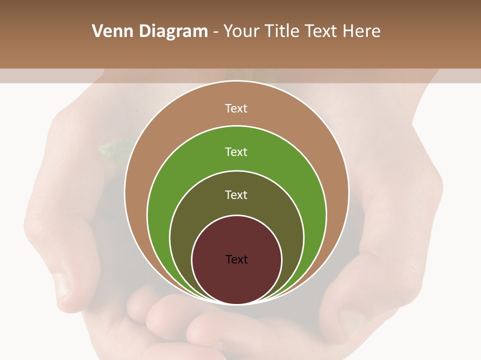 Children's Hands Hold A Young Plant PowerPoint Template
