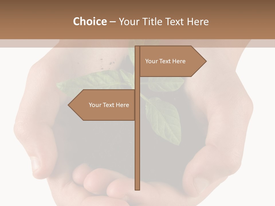 Children's Hands Hold A Young Plant PowerPoint Template