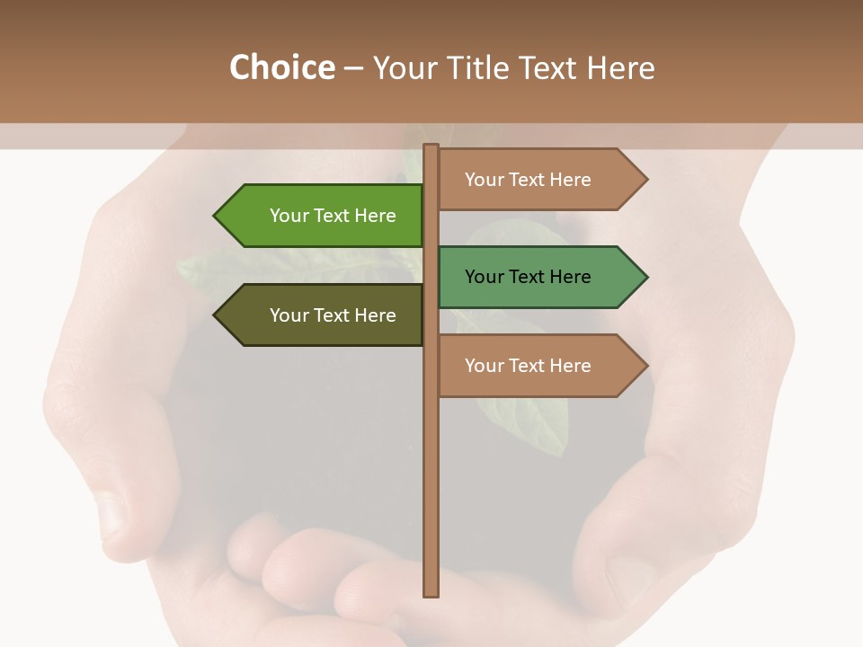 Children's Hands Hold A Young Plant PowerPoint Template