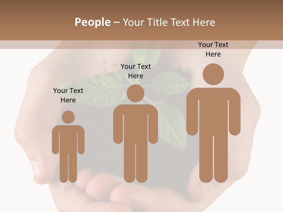 Children's Hands Hold A Young Plant PowerPoint Template