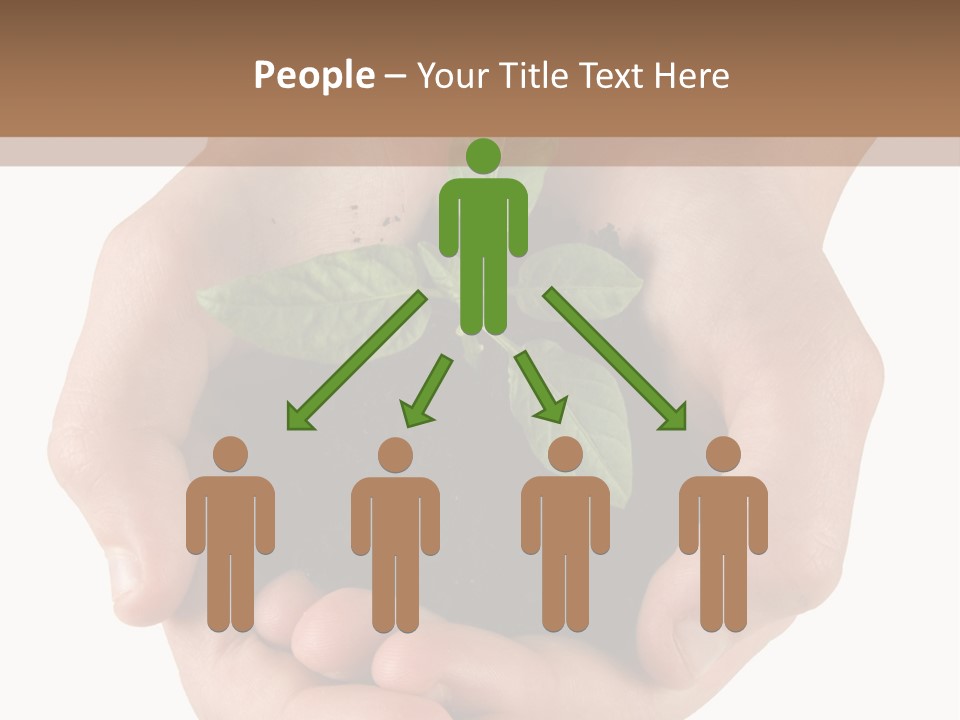 Children's Hands Hold A Young Plant PowerPoint Template