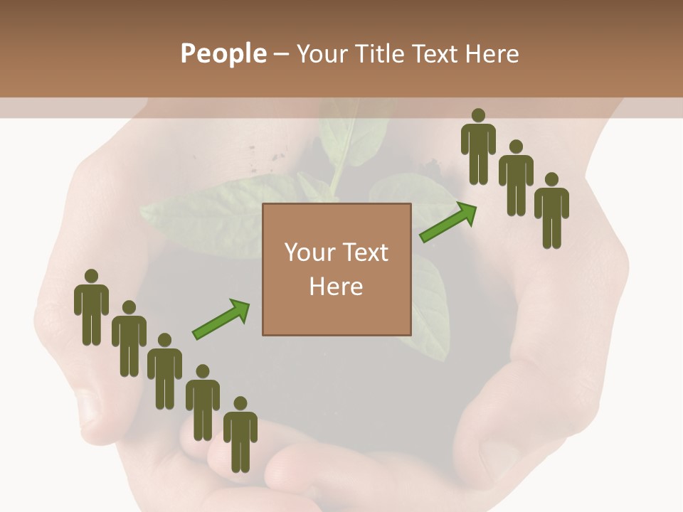 Children's Hands Hold A Young Plant PowerPoint Template