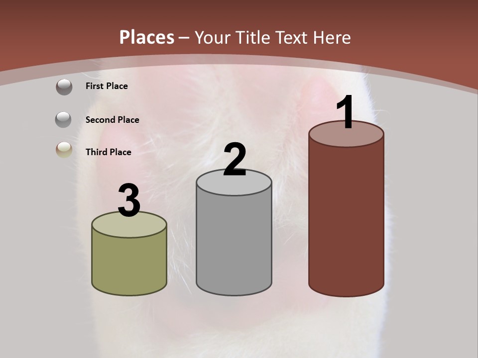 Vitality PowerPoint Template