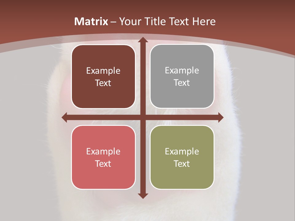 Vitality PowerPoint Template