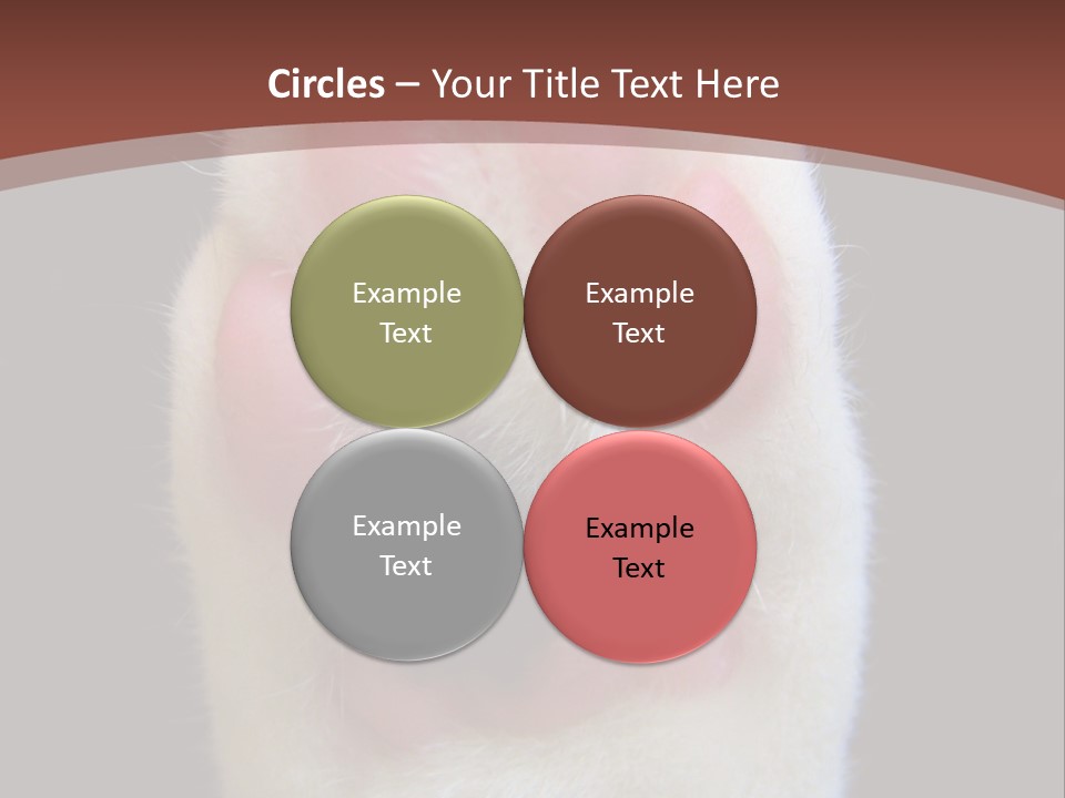 Vitality PowerPoint Template