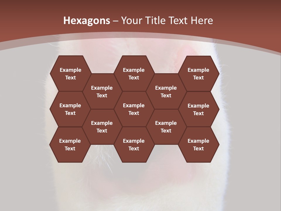 Vitality PowerPoint Template