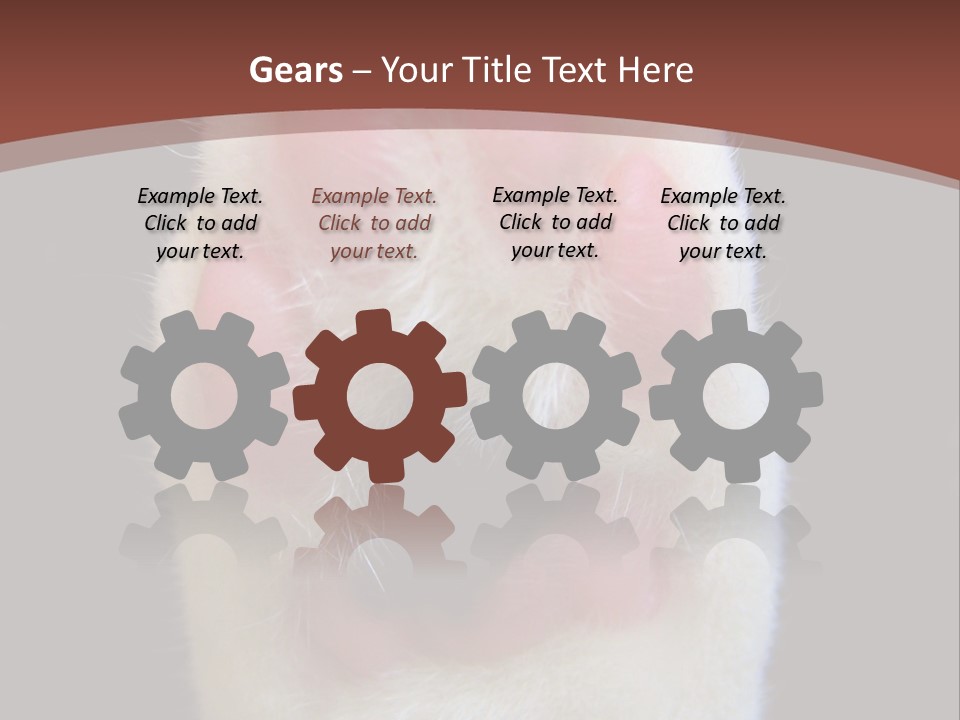 Vitality PowerPoint Template