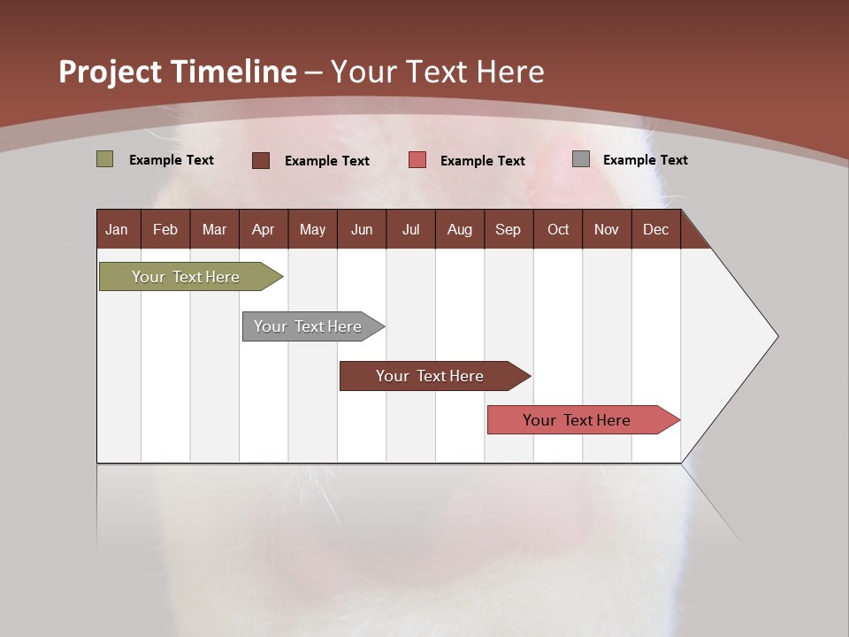 Vitality PowerPoint Template