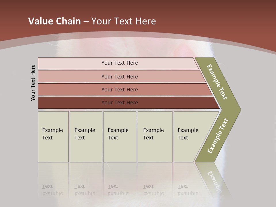 Vitality PowerPoint Template