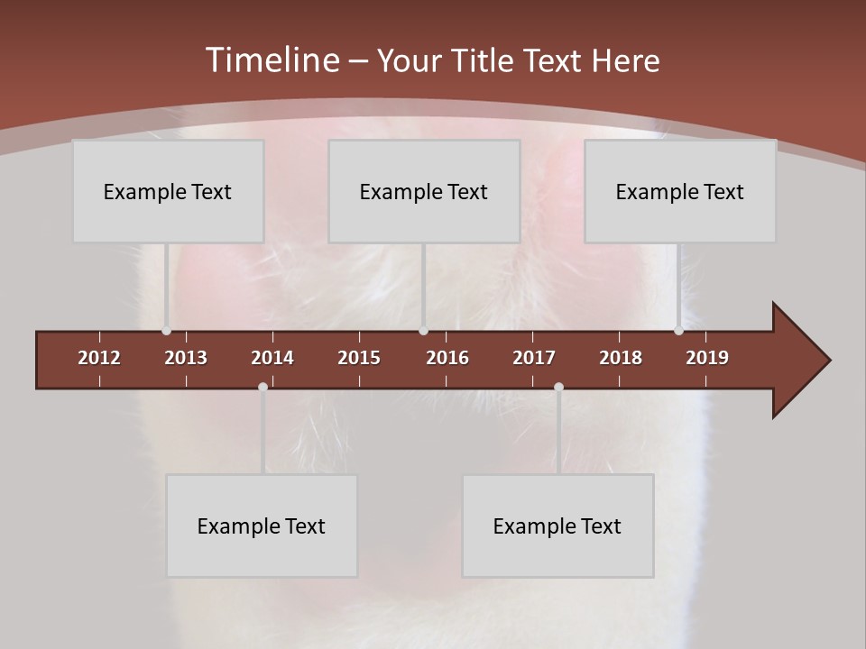 Vitality PowerPoint Template