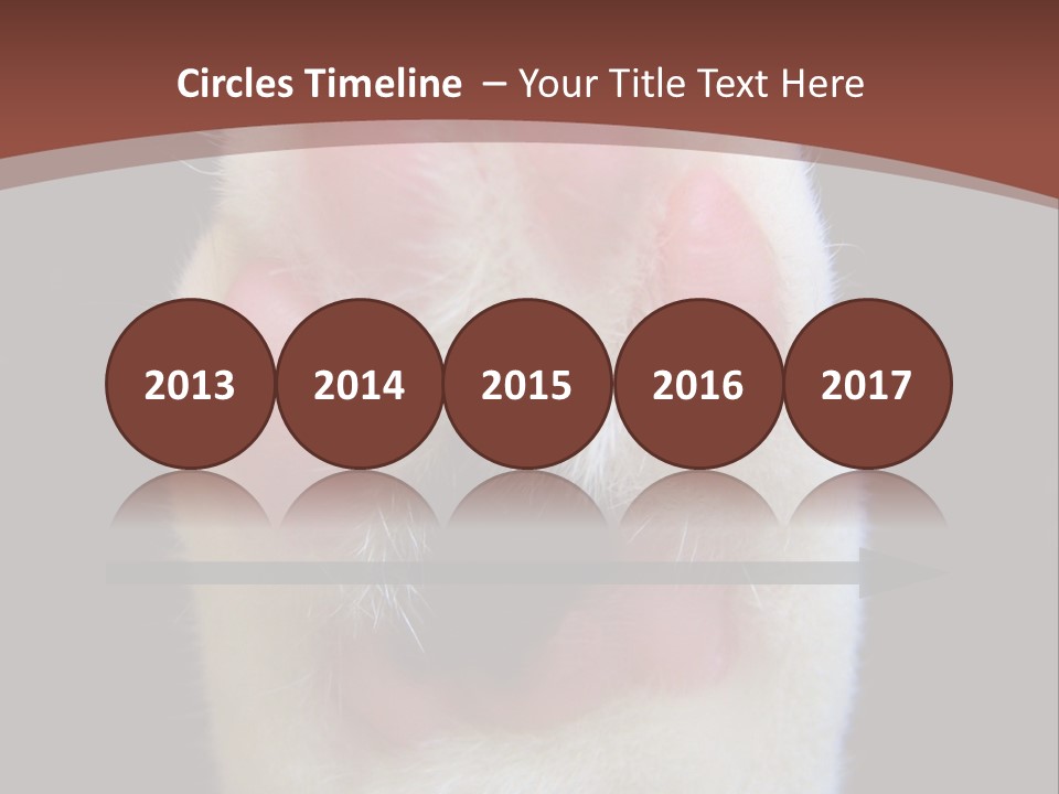 Vitality PowerPoint Template