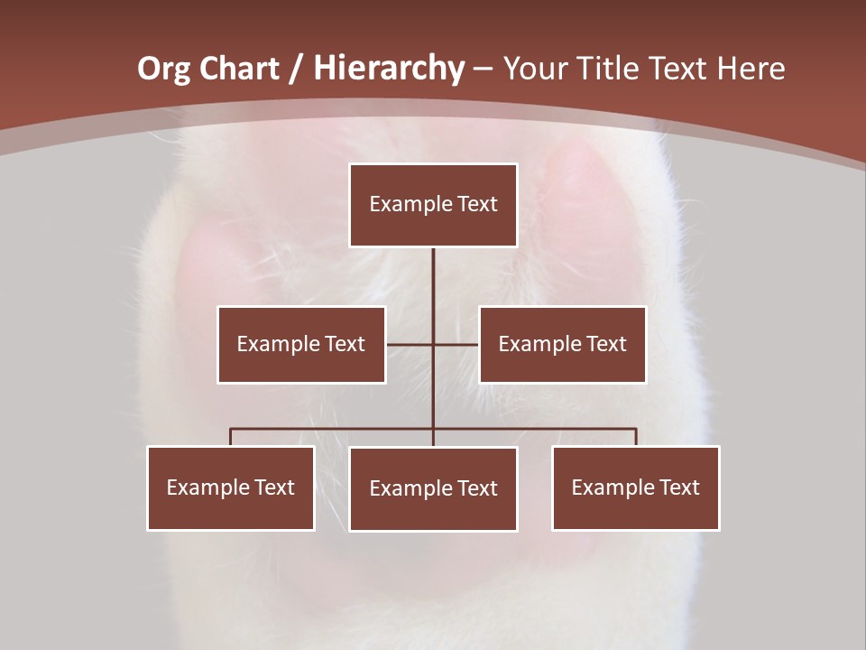 Vitality PowerPoint Template