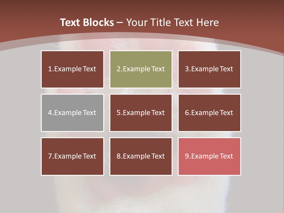 Vitality PowerPoint Template