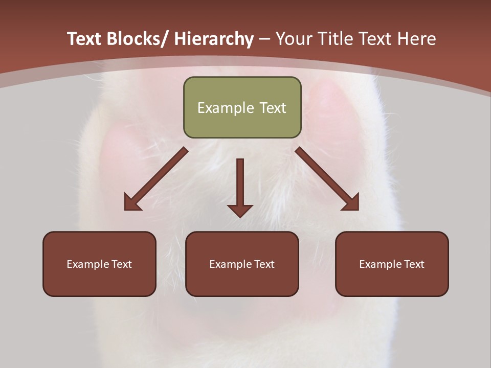Vitality PowerPoint Template