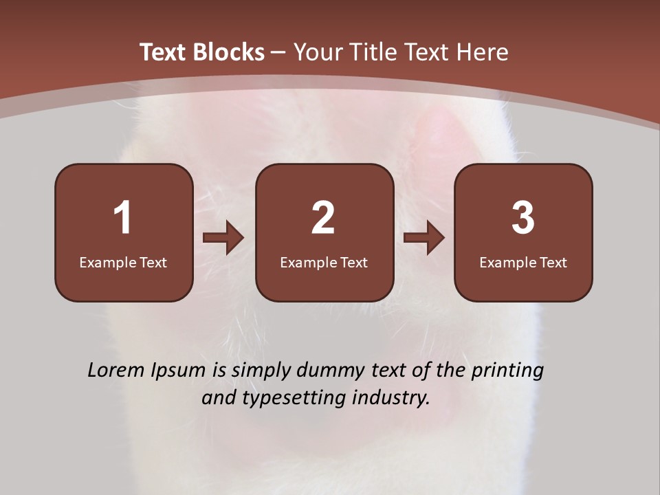 Vitality PowerPoint Template