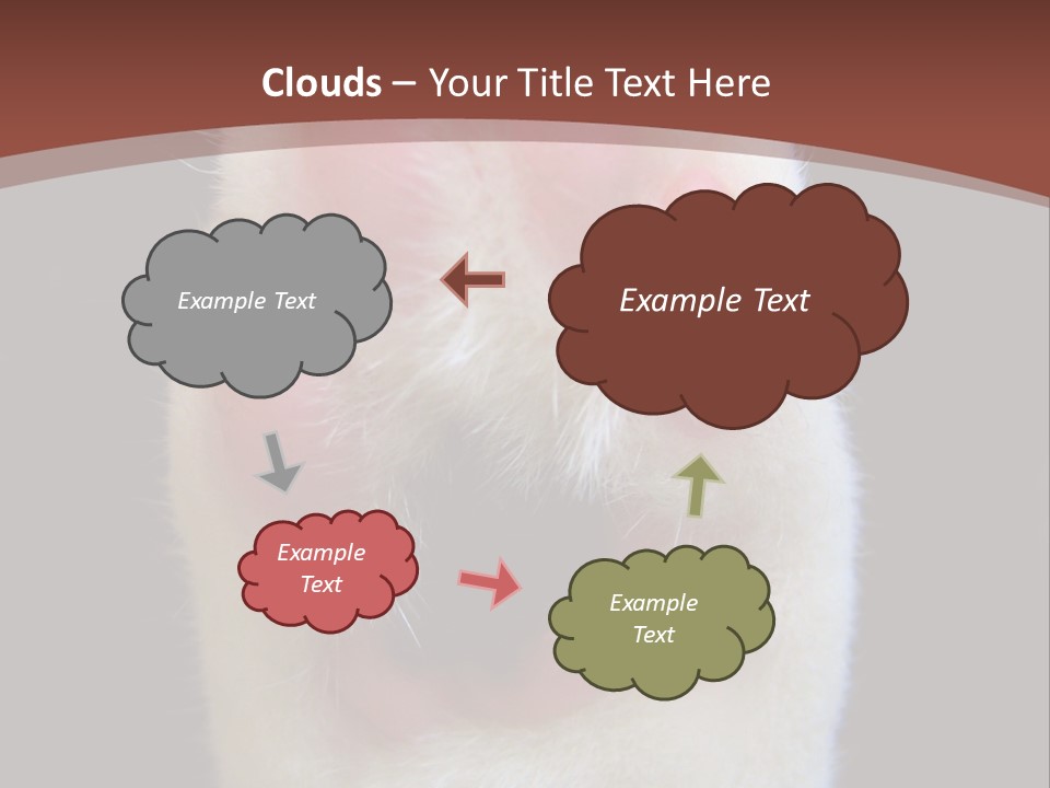 Vitality PowerPoint Template
