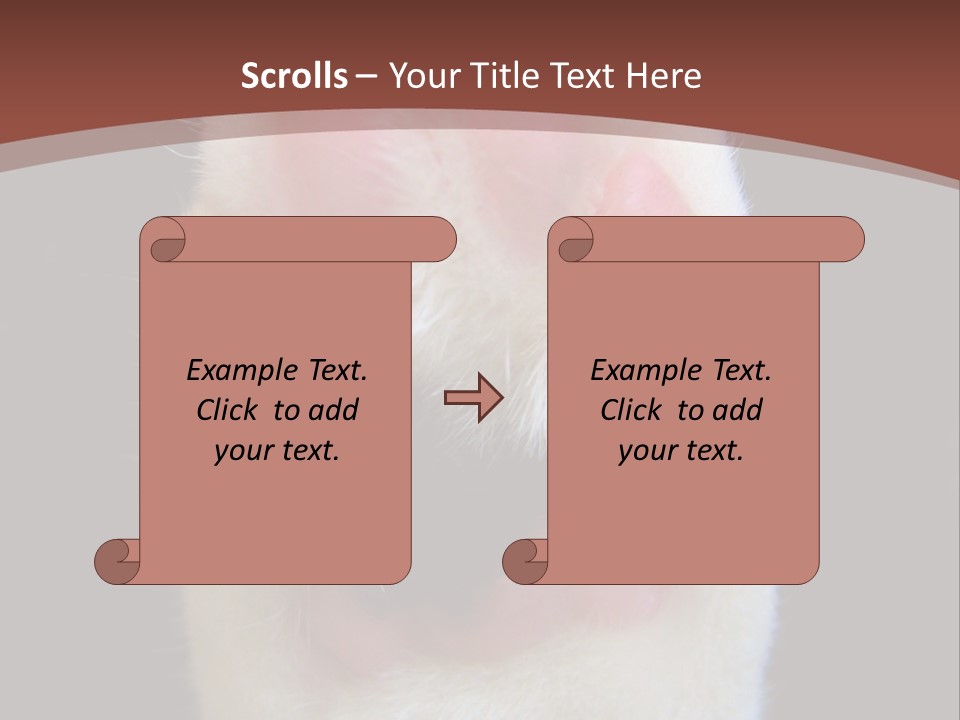 Vitality PowerPoint Template