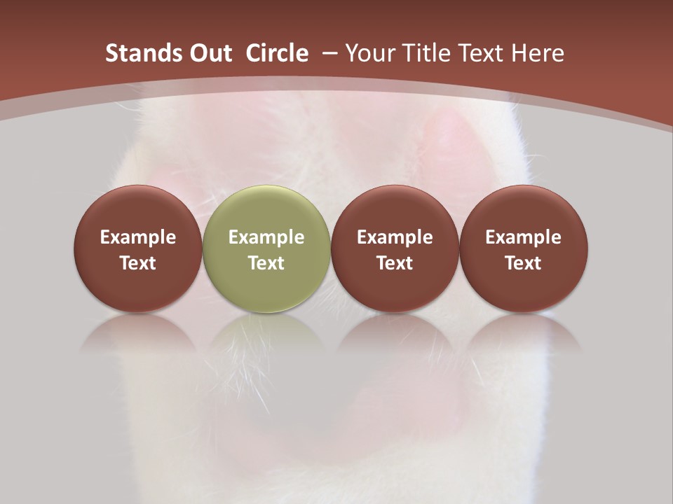 Vitality PowerPoint Template