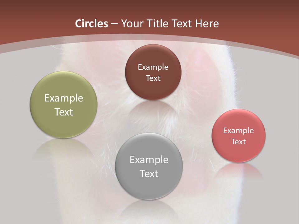 Vitality PowerPoint Template