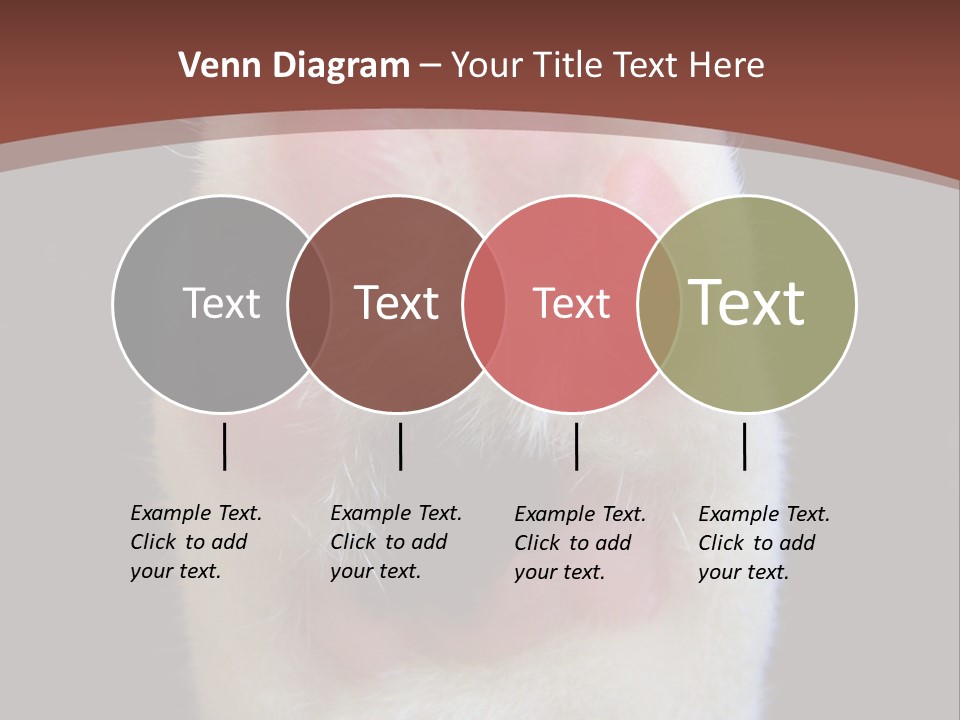 Vitality PowerPoint Template