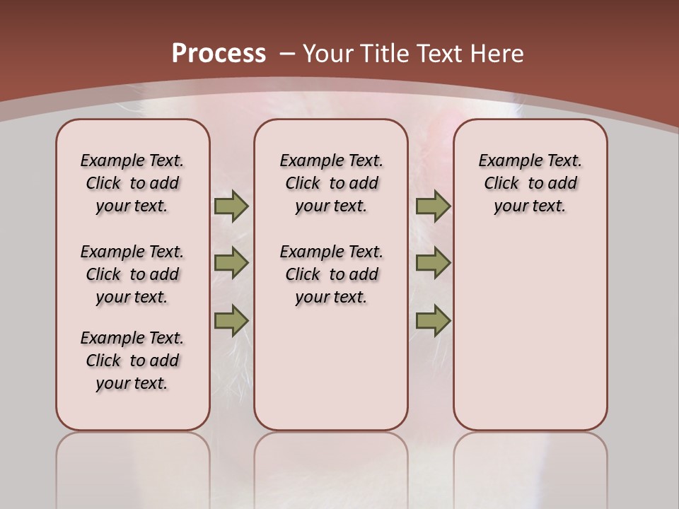 Vitality PowerPoint Template