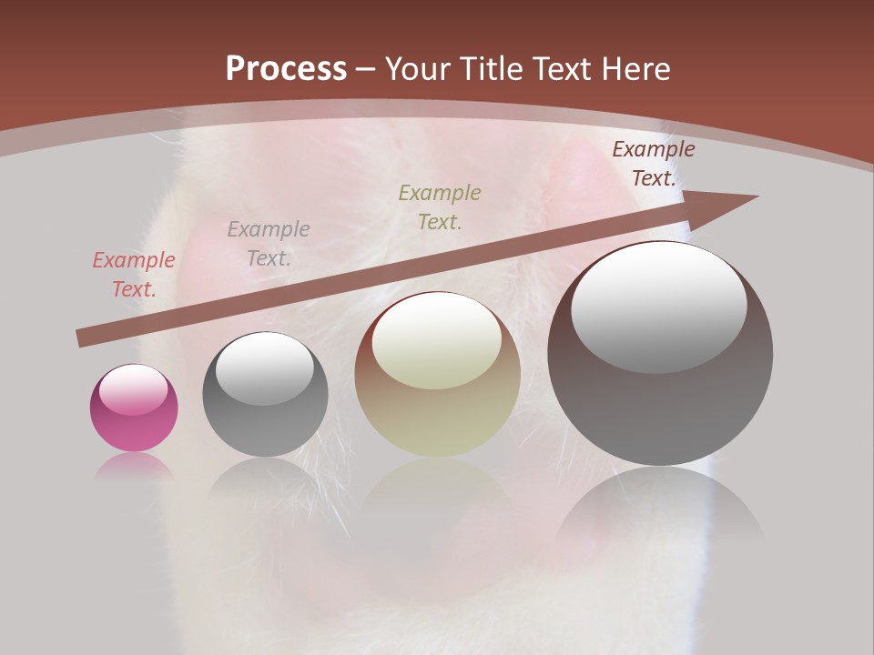 Vitality PowerPoint Template