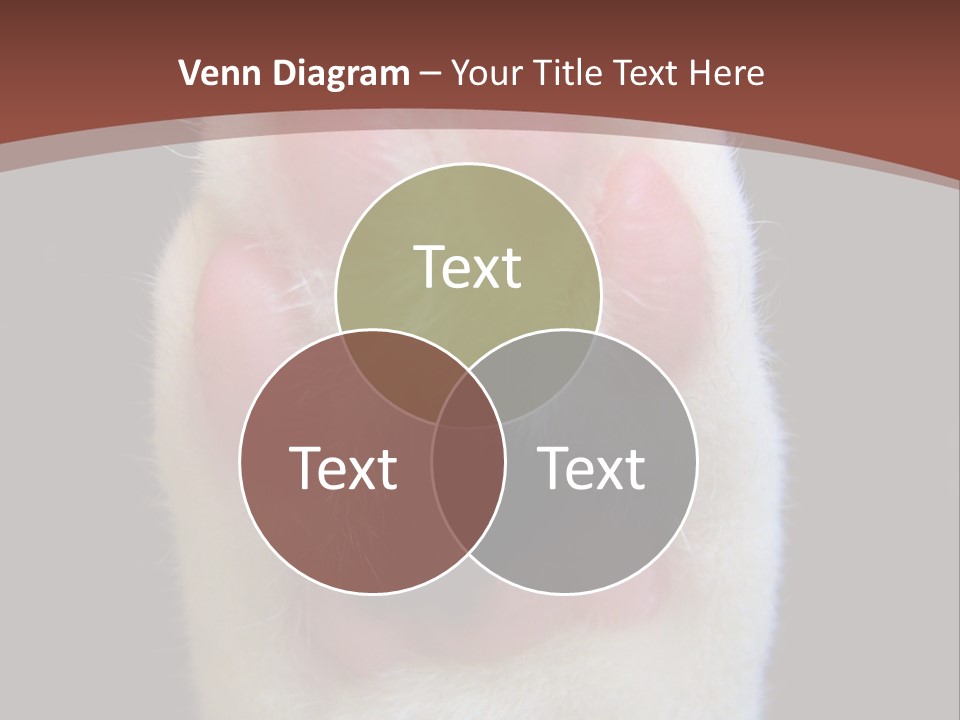 Vitality PowerPoint Template