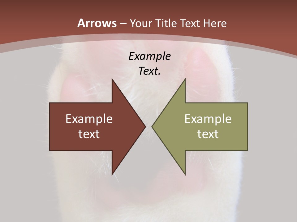 Vitality PowerPoint Template