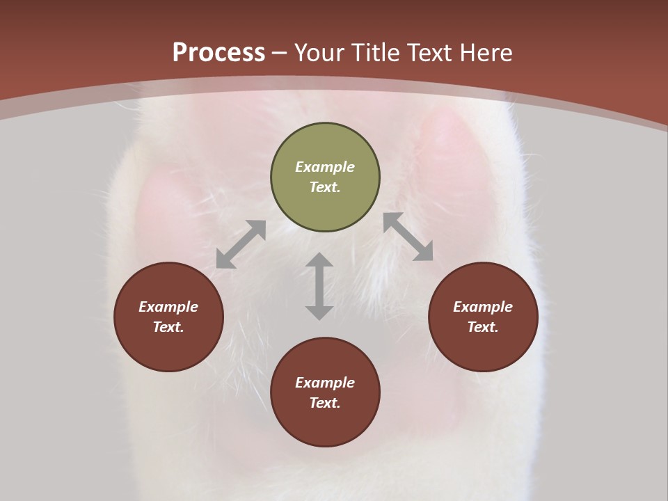 Vitality PowerPoint Template