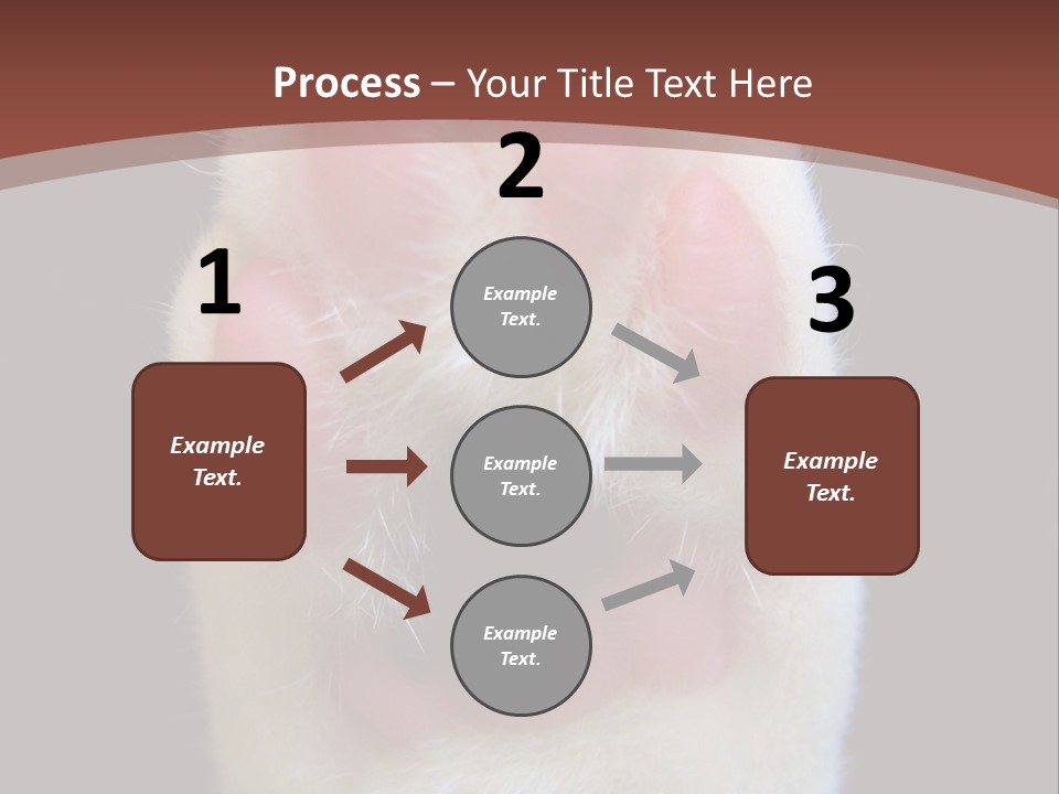 Vitality PowerPoint Template