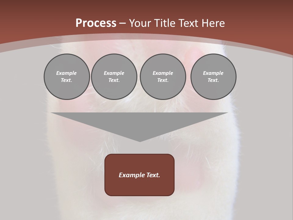 Vitality PowerPoint Template