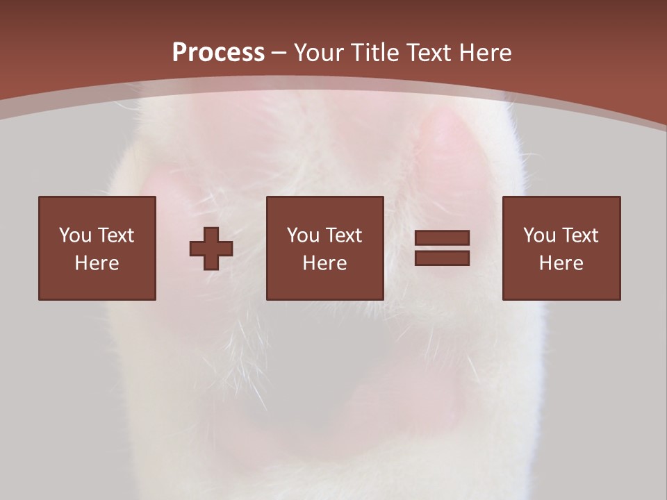 Vitality PowerPoint Template
